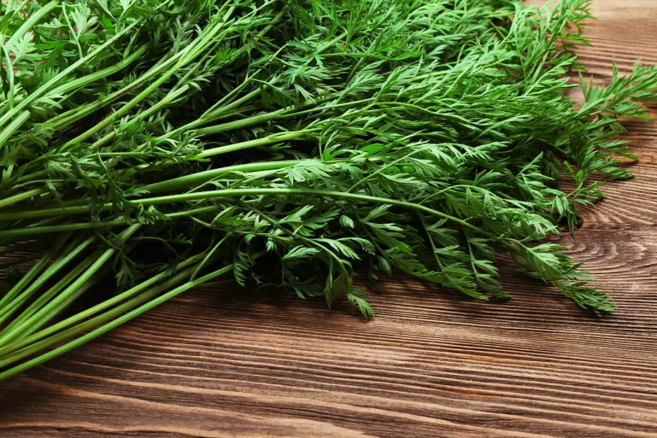 Recettes aux fanes de carotte