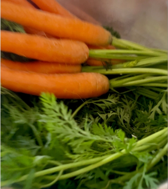 Recettes aux fanes de carotte faciles economiques 2