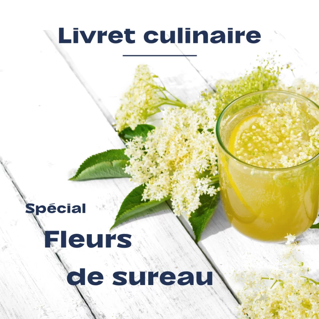 Utiliser les épices locales - Comment utiliser les fleurs de sureau en cuisine